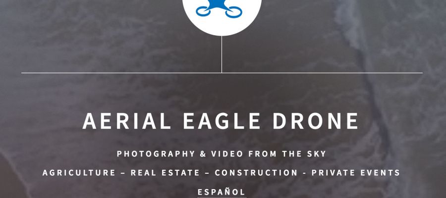Aerial Eagle Drone
