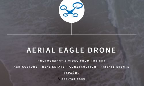 Aerial Eagle Drone